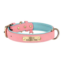 Personalized Leather Dog Collar with Nameplate