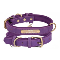 Personalized Leather Dog Collar with Nameplate