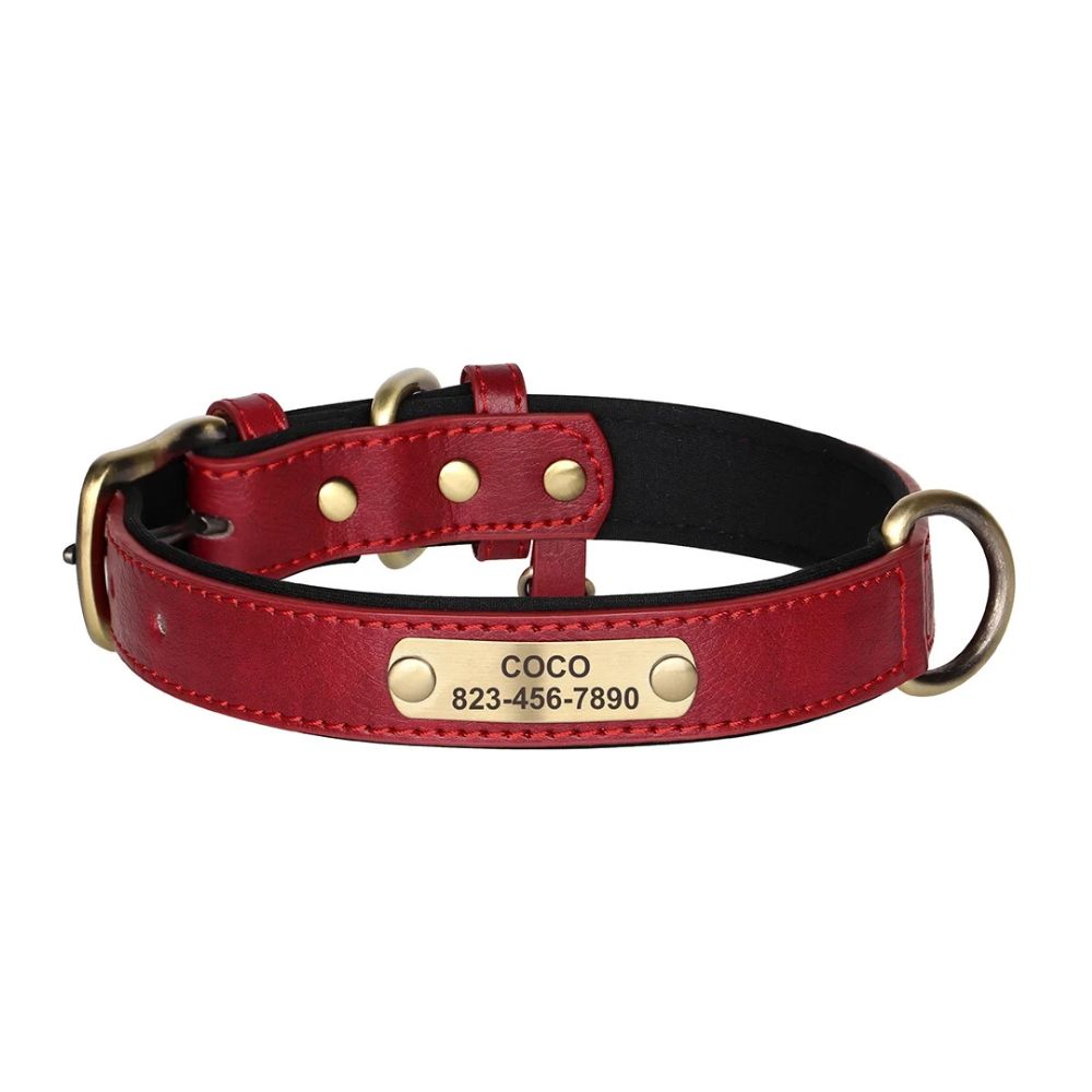 Personalized Leather Dog Collar with Nameplate