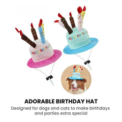 Pet Birthday Cake Hat — Adjustable Cat & Dog Party