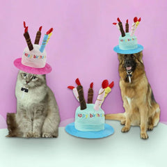 Pet Birthday Cake Hat — Adjustable Cat & Dog Party
