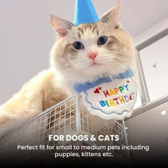 Pet Birthday Hat & Bandana Set — Small Dog & Cat Party
