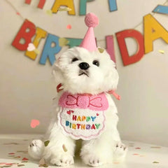 Pet Birthday Hat & Bandana Set — Small Dog & Cat Party