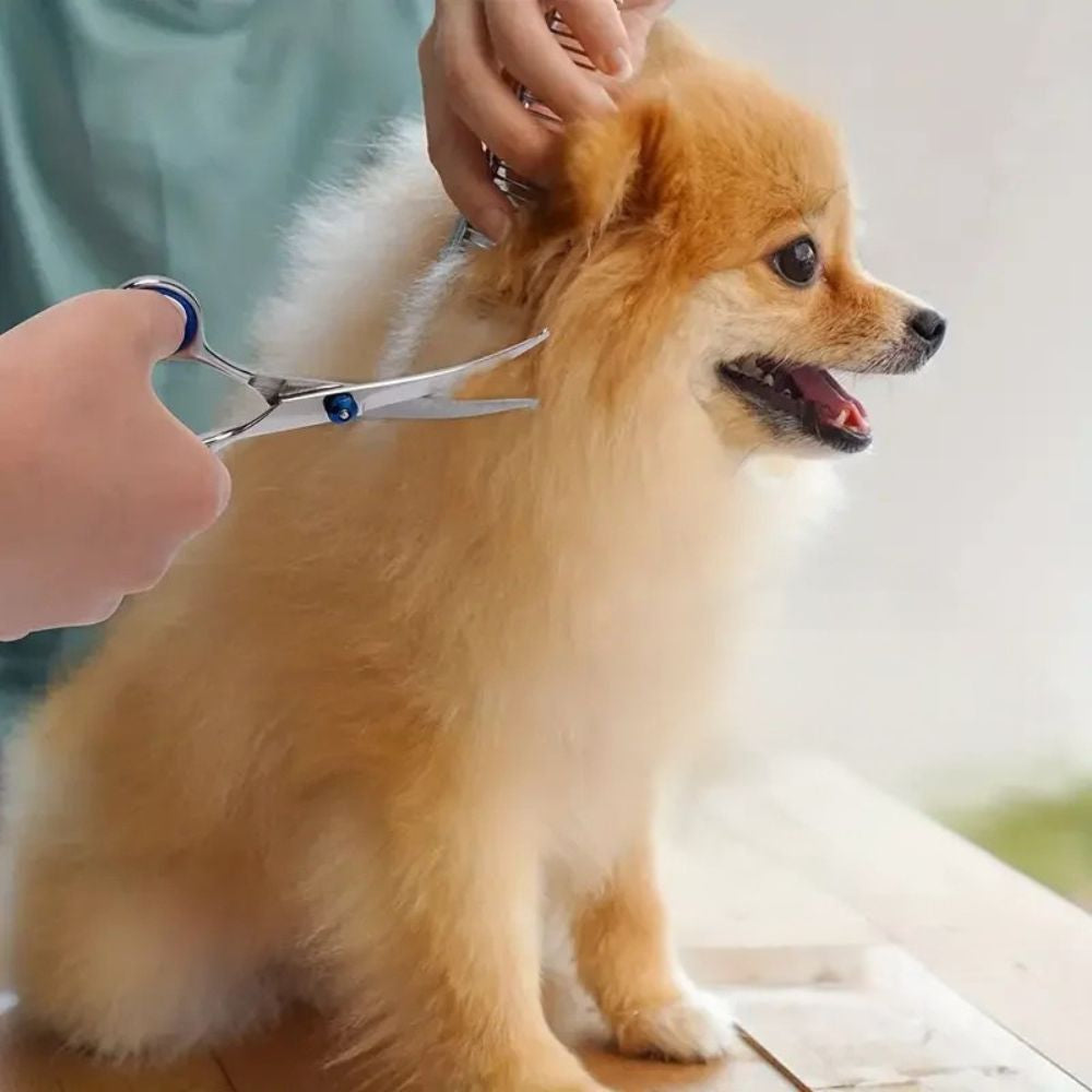 Pet Safe Grooming Scissors – Ambidextrous Round-Tip Stainless Steel Shears