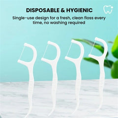 Portable Dental Floss Sticks & Toothpicks – Oral Care Box