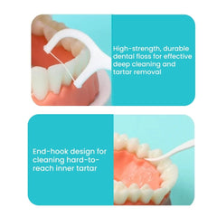 Portable Dental Floss Sticks & Toothpicks – Oral Care Box