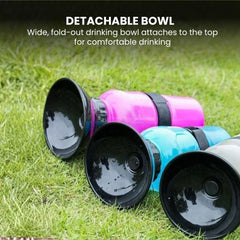 Portable Dog Water Bottle — 500ml Leakproof Travel Bowl
