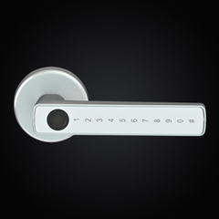 RFID Fingerprint Smart Door Lock — Tuya App Control