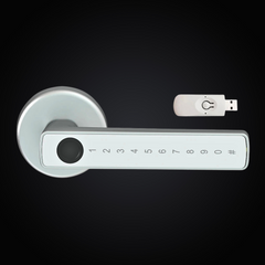 RFID Fingerprint Smart Door Lock — Tuya App Control