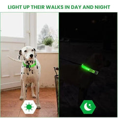 Rechargeable LED Glow Dog Collar — USB Safety Light