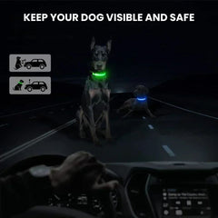 Rechargeable LED Glow Dog Collar — USB Safety Light