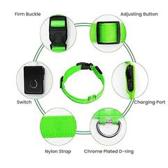 Rechargeable LED Glow Dog Collar — USB Safety Light