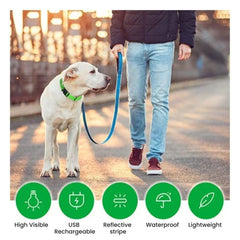 Rechargeable LED Glow Dog Collar — USB Safety Light
