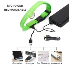 Rechargeable LED Glow Dog Collar — USB Safety Light