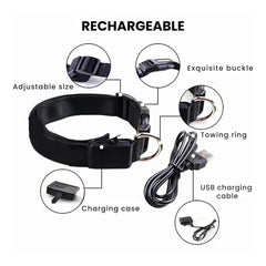 Rechargeable LED Glow Dog Collar — USB Safety Light
