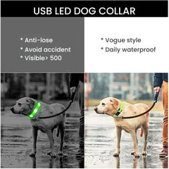 Rechargeable LED Glow Dog Collar — USB Safety Light