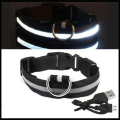 Rechargeable LED Glow Dog Collar — USB Safety Light