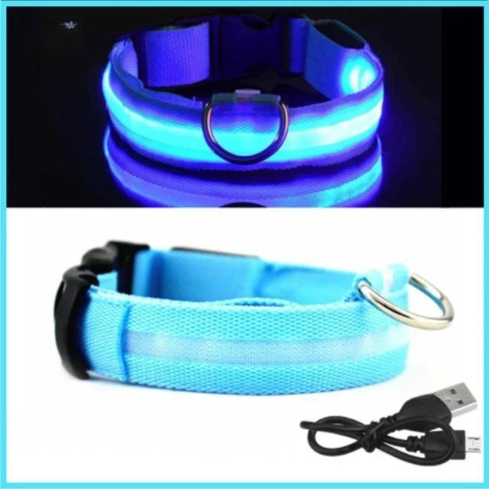 Rechargeable LED Glow Dog Collar — USB Safety Light