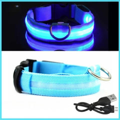 Rechargeable LED Glow Dog Collar — USB Safety Light