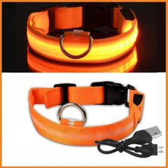 Rechargeable LED Glow Dog Collar — USB Safety Light