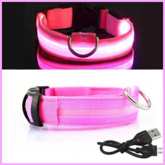 Rechargeable LED Glow Dog Collar — USB Safety Light