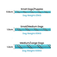 Reflective Braided Dog Leash with 360° Metal Clasp