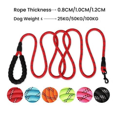 Reflective Braided Dog Leash with 360° Metal Clasp
