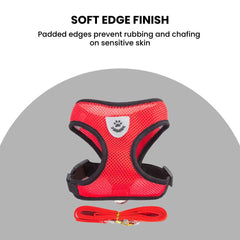 Reflective Breathable Dog Harness for Small Dogs
