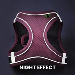 Reflective Mesh Pet Harness – Adjustable & Soft
