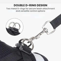 Reflective No-Pull Dog Harness & Leash Set