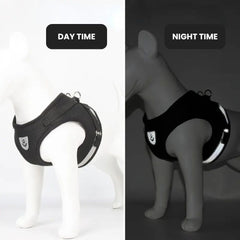 Reflective No-Pull Dog Harness & Leash Set