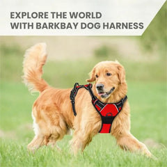 Reflective No-Pull Padded Dog Harness — Secure Control