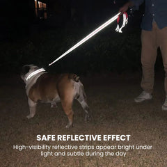 Reflective Padded Dog Leash — Soft Handle, Heavy Duty