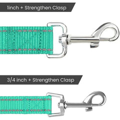 Reflective Padded Dog Leash — Soft Handle, Heavy Duty