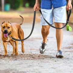 Reflective Padded Dog Leash — Soft Handle, Heavy Duty