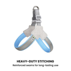 Reflective Y-Shape Dog Harness — Padded & Adjustable