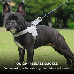 Reflective Y-Shape Dog Harness — Padded & Adjustable