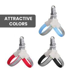 Reflective Y-Shape Dog Harness — Padded & Adjustable