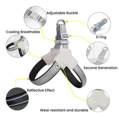 Reflective Y-Shape Dog Harness — Padded & Adjustable