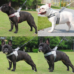 Reflective Y-Shape Dog Harness — Padded & Adjustable