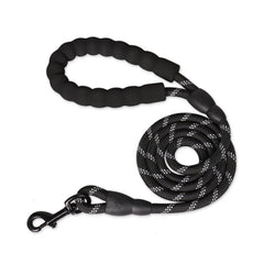 Reflective Braided Dog Leash with 360° Metal Clasp
