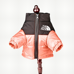Warm Reflective Dog Jacket for All Size Dogs