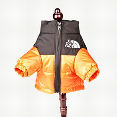 Warm Reflective Dog Jacket for All Size Dogs