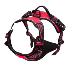 Reflective No-Pull Padded Dog Harness — Secure Control