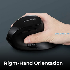 Dual Mode Silent Ergonomic Wireless Mouse