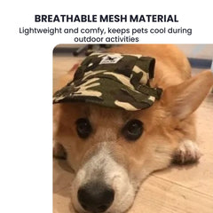 Dog Baseball Hat – Adjustable Summer Sun Cap for Pets