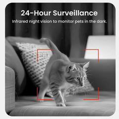 Smart Automatic Pet, Cat & Dog Feeder with Camera & App Control