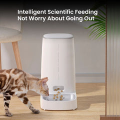 Smart WiFi Automatic Pet, Cat & Dog Feeder with App Control