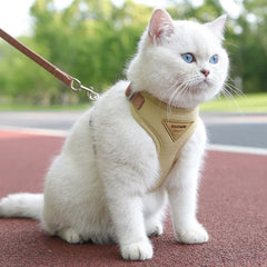 Soft Breathable Pet Harness & Leash — Small Dogs & Cats