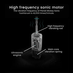 Soft Bristle Electric Toothbrush for Kids & Adults, 6-Speed